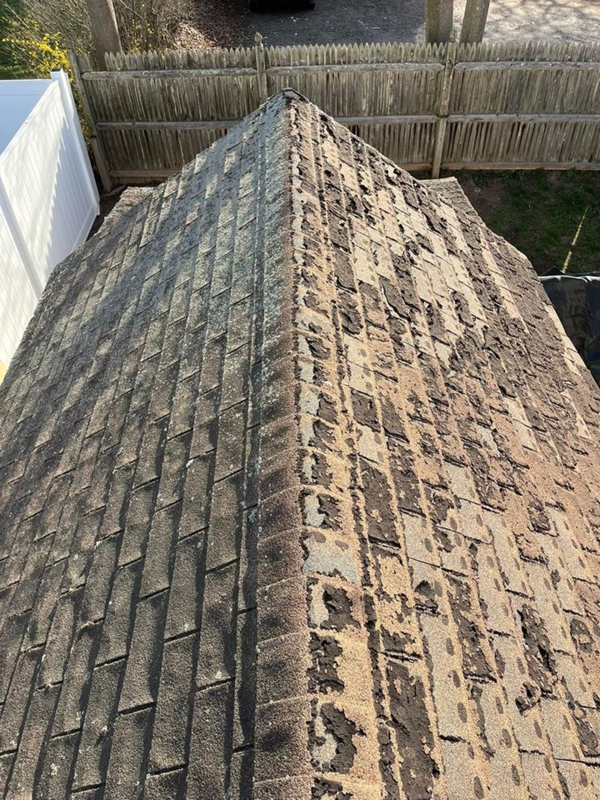 WhatsApp Image 2025-03-27 at 00.30.14